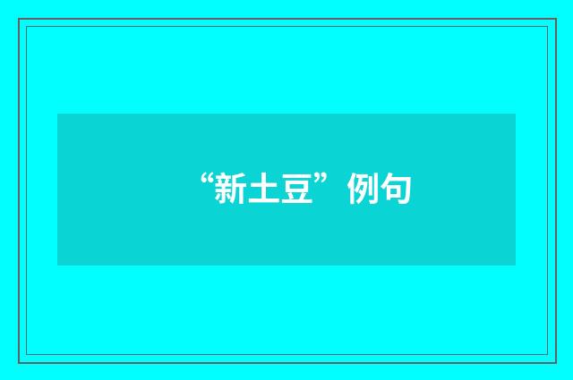 “新土豆”例句