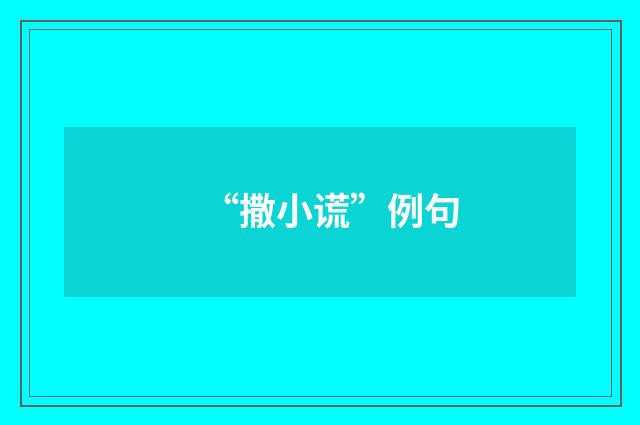 “撒小谎”例句