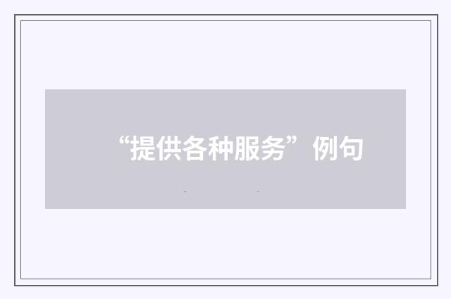 “提供各种服务”例句