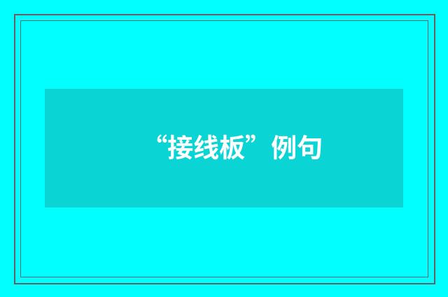 “接线板”例句