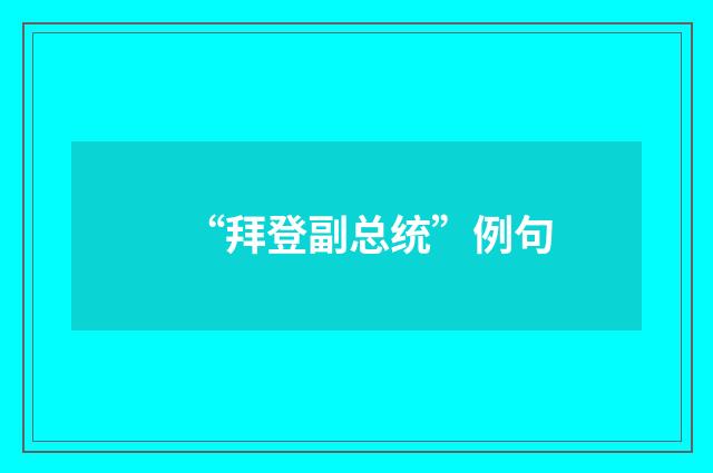 “拜登副总统”例句