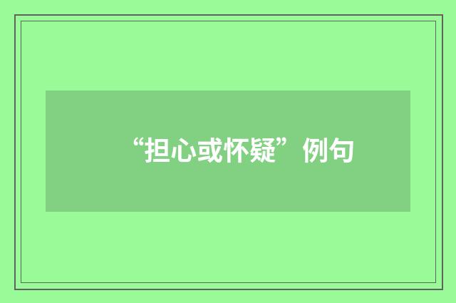 “担心或怀疑”例句