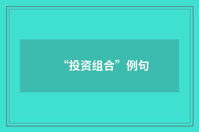 “投资组合”例句