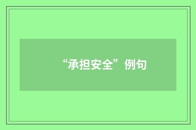 “承担安全”例句