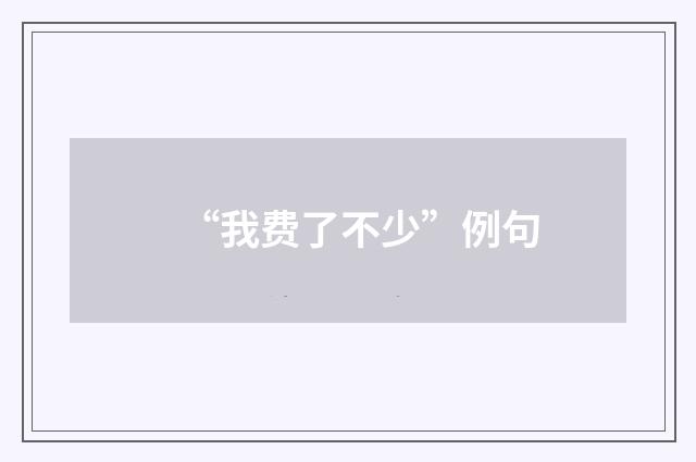 “我费了不少”例句