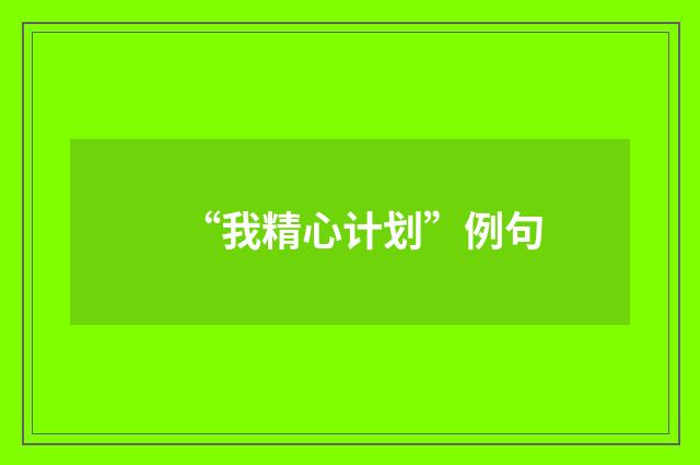“我精心计划”例句