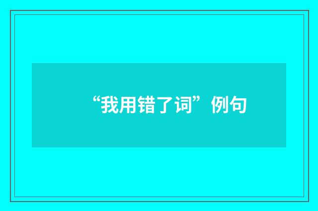 “我用错了词”例句