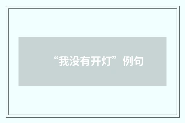 “我没有开灯”例句