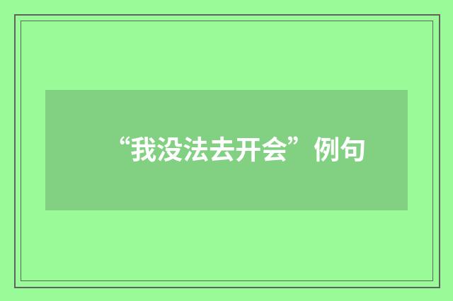 “我没法去开会”例句