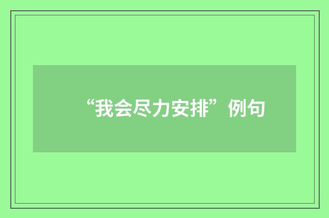 “我会尽力安排”例句