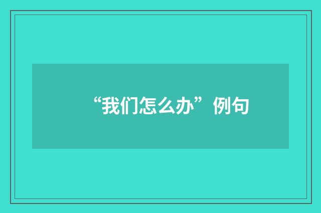 “我们怎么办”例句