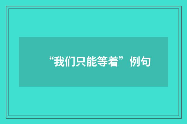 “我们只能等着”例句