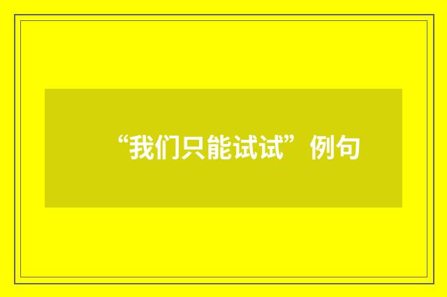 “我们只能试试”例句