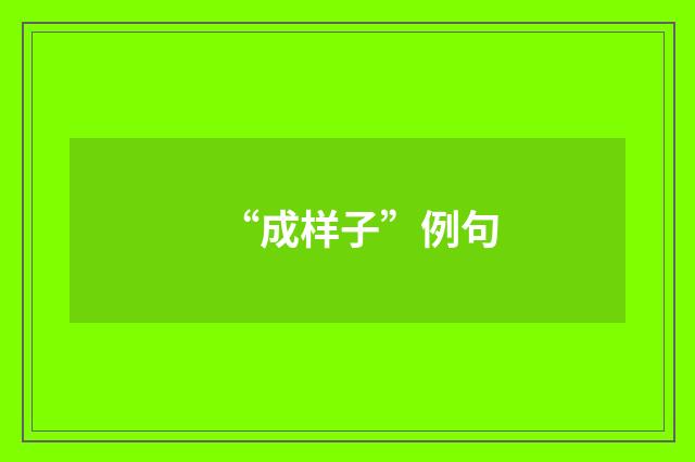“成样子”例句