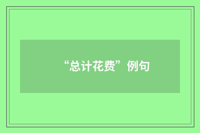 “总计花费”例句