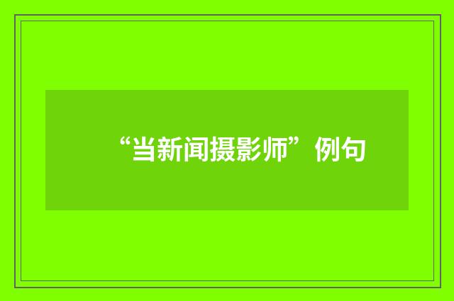 “当新闻摄影师”例句