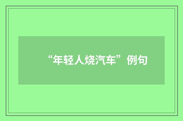 “年轻人烧汽车”例句