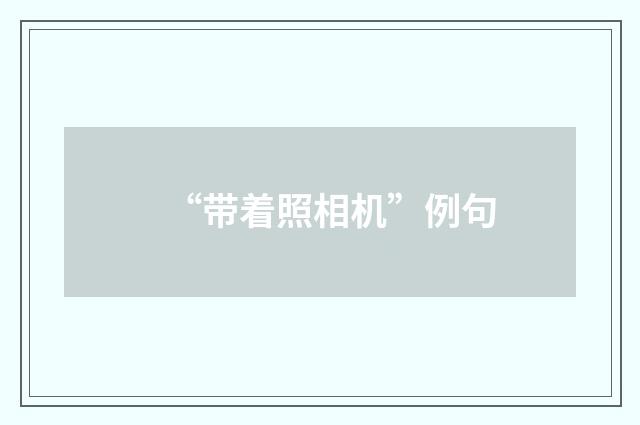 “带着照相机”例句