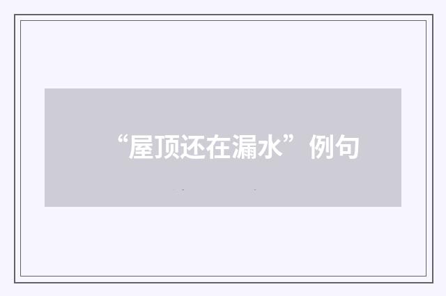 “屋顶还在漏水”例句
