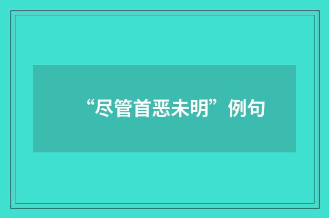 “尽管首恶未明”例句