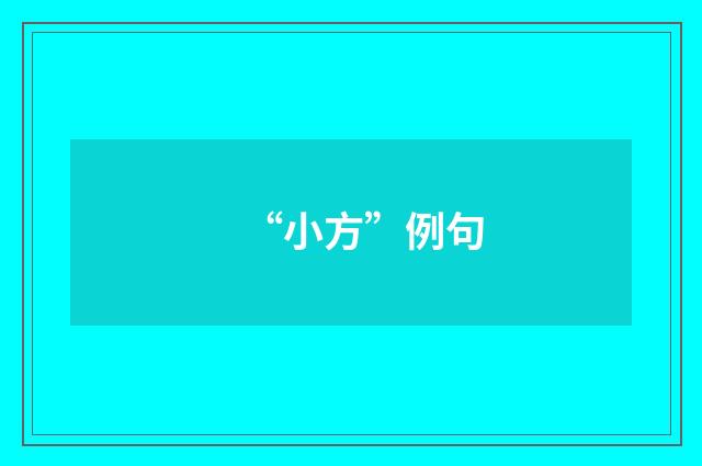 “小方”例句