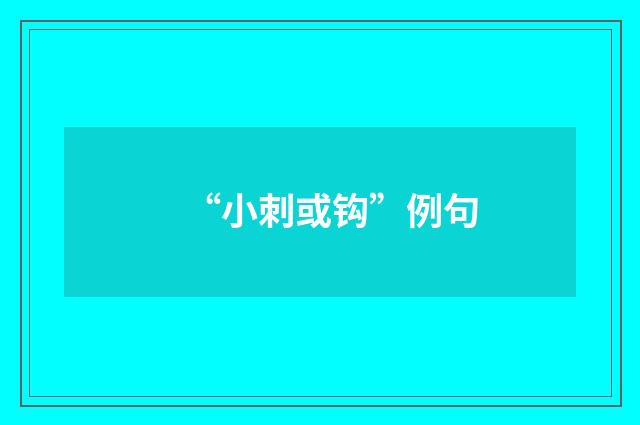“小刺或钩”例句