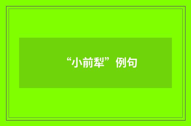 “小前犁”例句