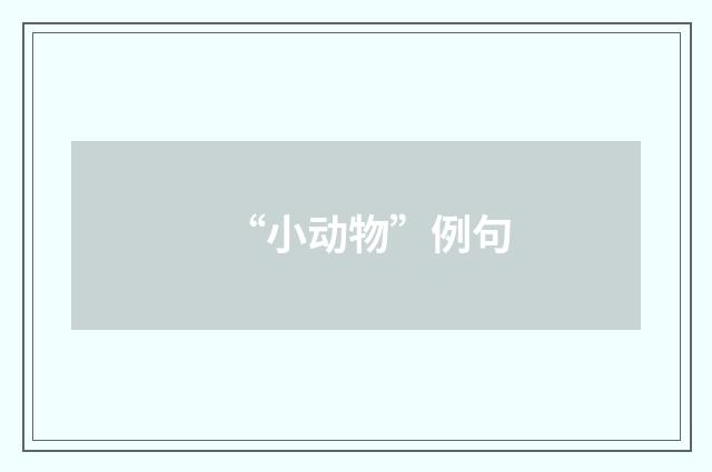 “小动物”例句