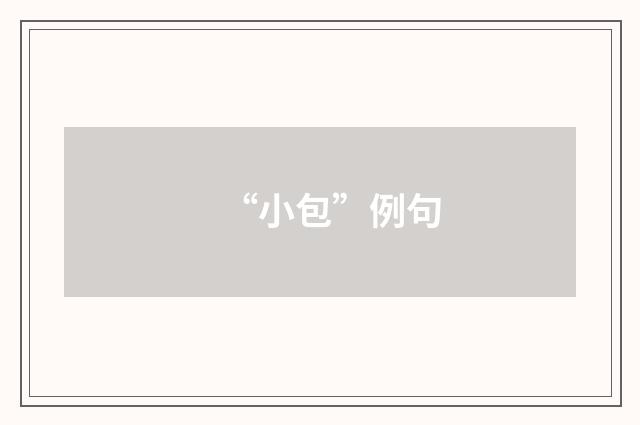 “小包”例句