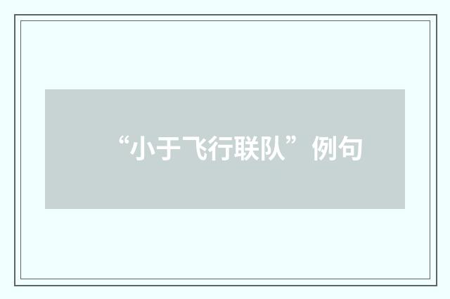 “小于飞行联队”例句