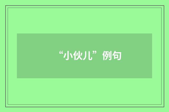 “小伙儿”例句
