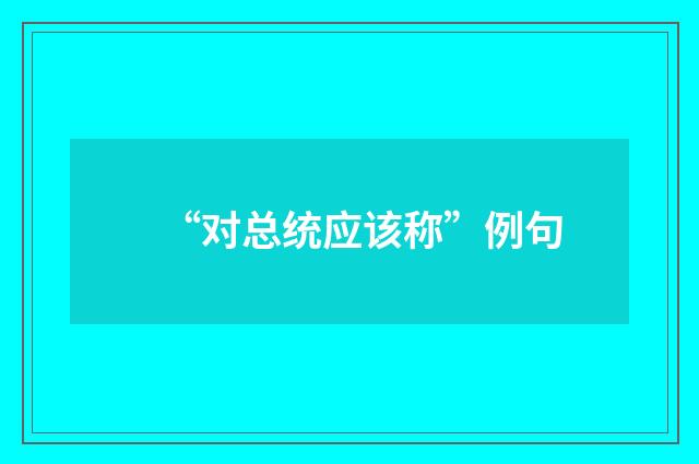 “对总统应该称”例句