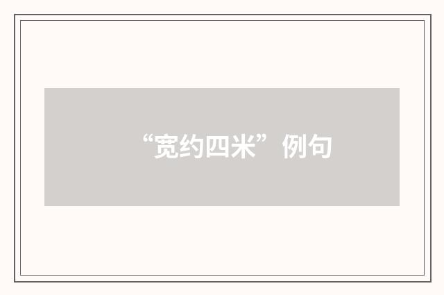 “宽约四米”例句