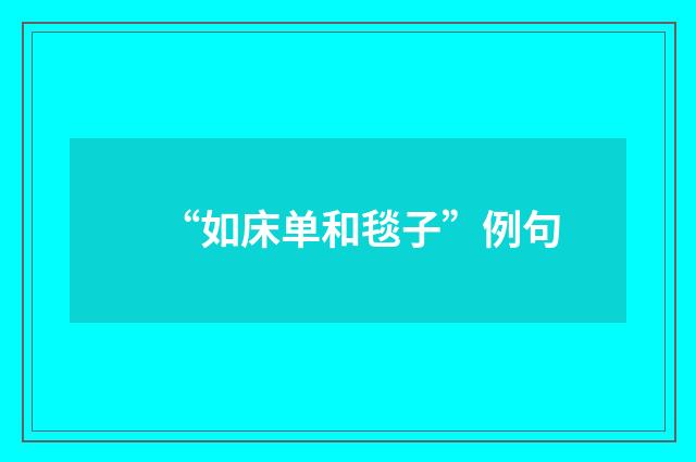 “如床单和毯子”例句