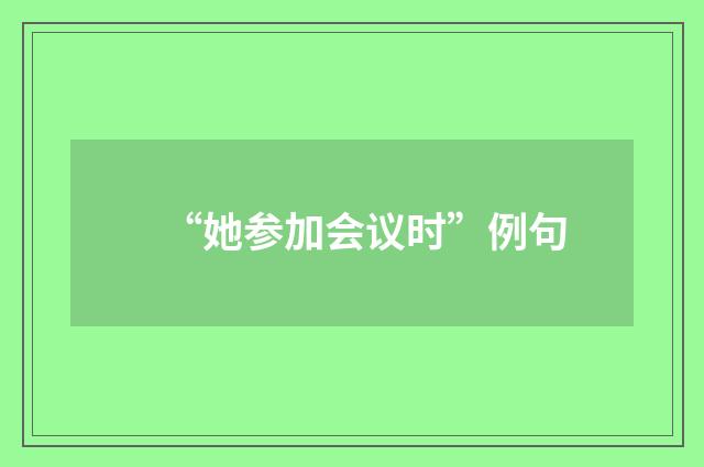 “她参加会议时”例句