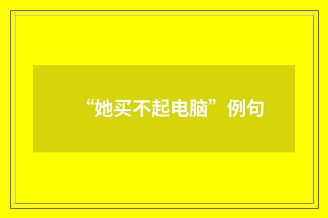 “她买不起电脑”例句