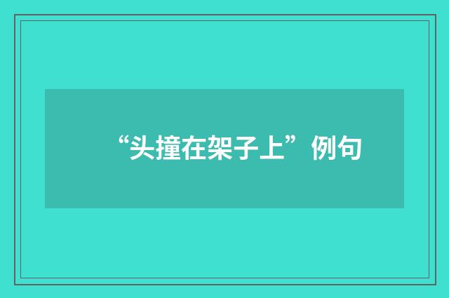 “头撞在架子上”例句