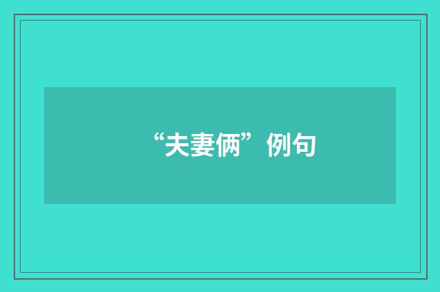 “夫妻俩”例句