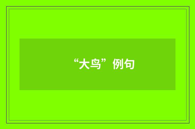 “大鸟”例句