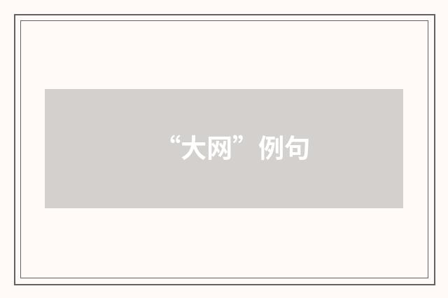 “大网”例句