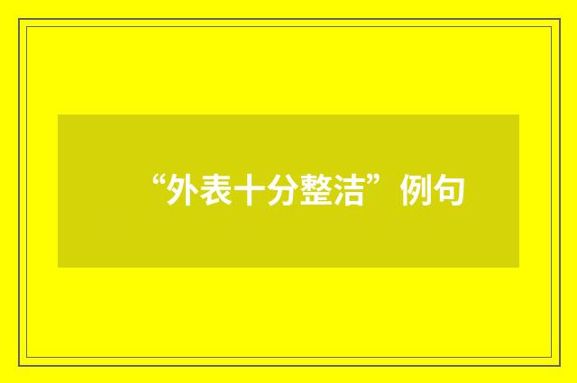 “外表十分整洁”例句