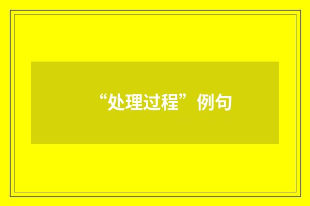 “处理过程”例句
