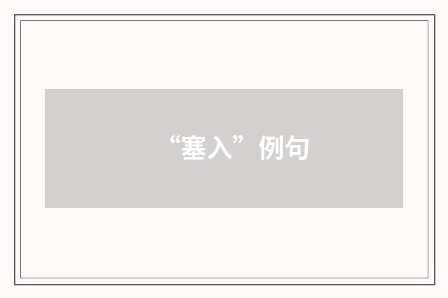 “塞入”例句