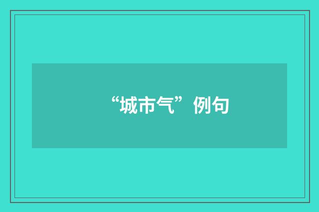 “城市气”例句