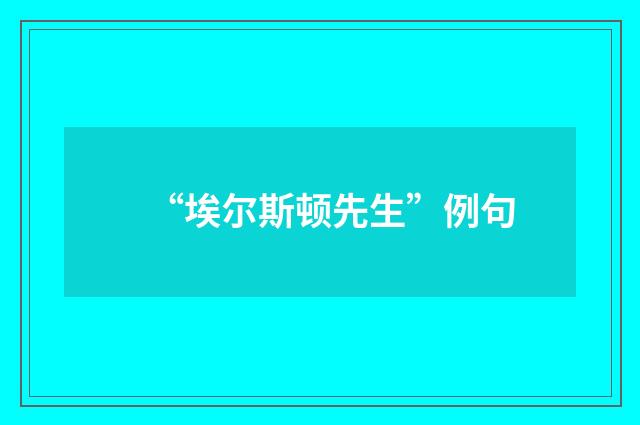 “埃尔斯顿先生”例句