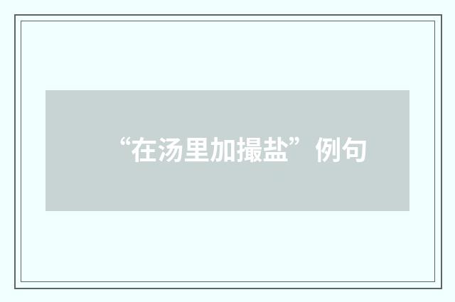 “在汤里加撮盐”例句