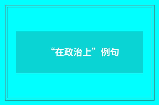 “在政治上”例句