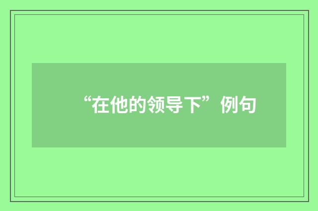“在他的领导下”例句