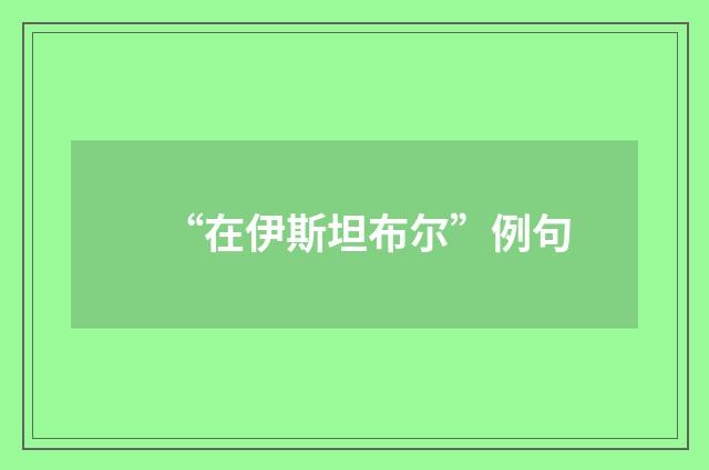 “在伊斯坦布尔”例句