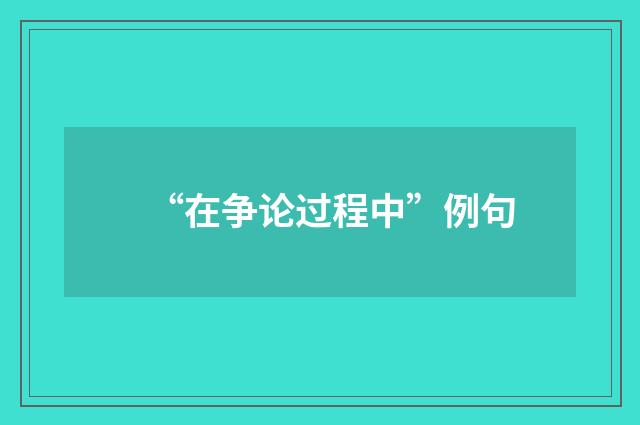 “在争论过程中”例句